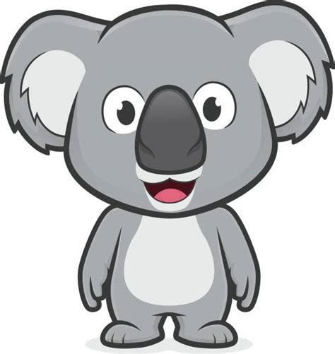 Royalty Free Baby Koala Clip Art Vector Images And Illustrations Istock