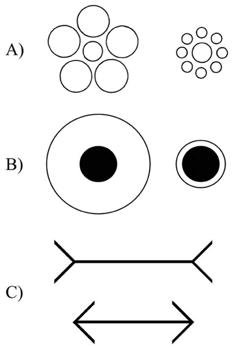 Notable Size Illusions A Ebbinghaus Illusion B Delboeuf