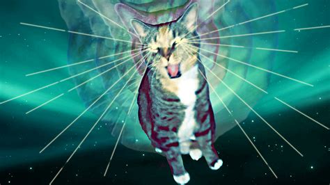 Ugeekychick84 S Bfs Spacy Laser Cat Rspacecats