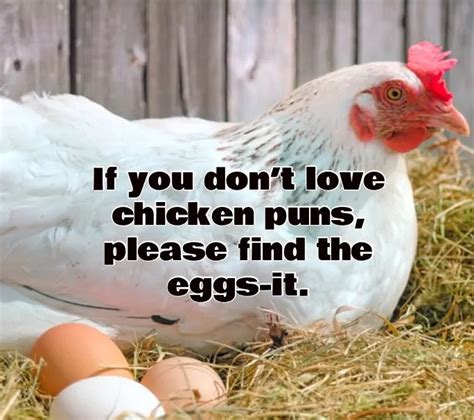 80 Chicken Puns You Will Be Eggcited To Tell All Your Friends