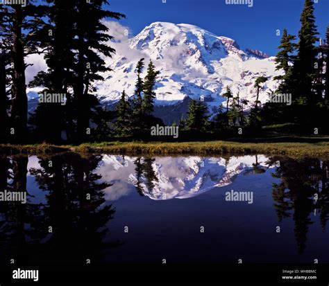 Northwest Mount Rainier National Park Hi Res Stock Photography And