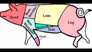 Swine Hog Pig Meat Cuts Chart Youtube