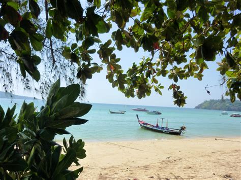 Free Images Beach Sea Tree Sand Shore Thailand Body Of Water