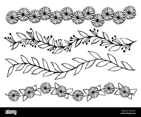 Bordes Lineales De Vectores Florales Conjunto De Líneas De Flores