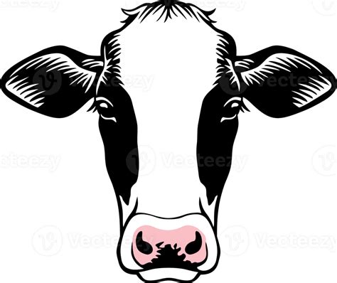 Cow Head Png Illustration 24391714 Png