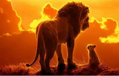 Lion King Character Posters Disney Lionking Film