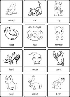 Pets vocabulary for kids learning English | Vocabulary quiz