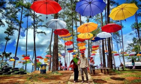 Maybe you would like to learn more about one of these? Alamat dan Harga Tiket Masuk Kemit Forest Cilacap, Wisata ...