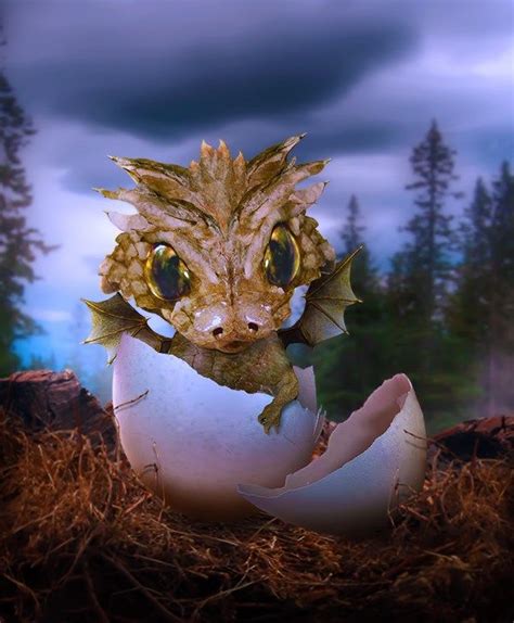 Baby Dragon Worth1000 Contests Fairy Dragon Dragon Egg Fantasy
