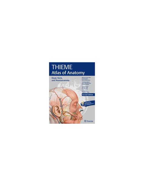 Head Neck And Neuroanatomy 3 Thieme Atlas Of Anatomy 22016