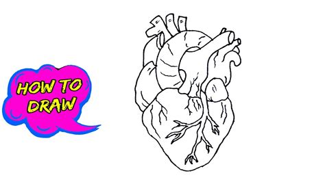 How To Draw Human Heart Easy Trick To Draw Youtube