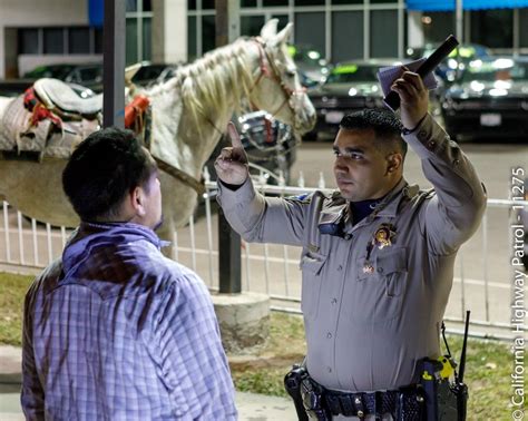 The california vehicle code 21050 specifically can you get a dui on a horse in michigan? Yes, you can get arrested for DUI on horseback | 89.3 KPCC