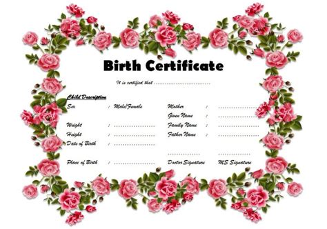 Fillable Birth Certificate Template Free 10 Various Designs