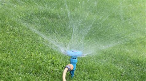 Lawn Watering Why When And How To Water Grass