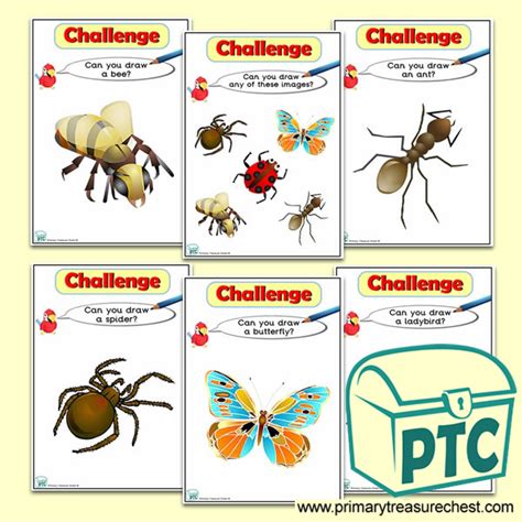 Minibeasts Ict Challenge Cards Ict In The Early Years Eyfs