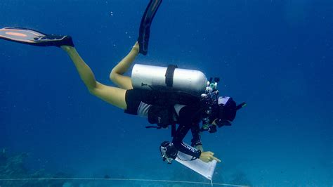 Dream Job Marine Biologist At Six Senses Laamu Maldives