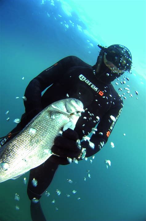 425 Best Spearfishing Scuba Diving Images On Pinterest Diving