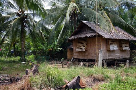 Nipa Hut Stilt House Kalibo Bahay Kubo Traditional Houses