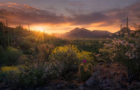 Desert Harmony Superstition Mountains Arizona Marc Adamus Photography