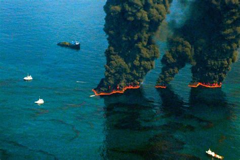 Oil is released into the ocean from natural oil seeps on the seafloor. The Oil Spill's Effects on Deep-Sea Ecology