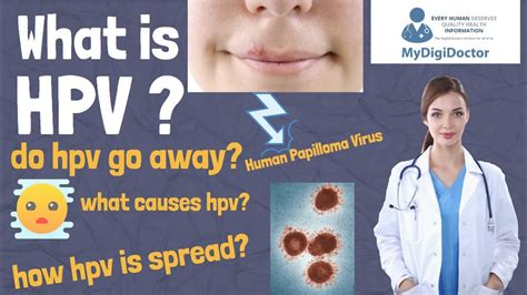 What Is Oral Hpv And How Can I Prevent Hpv Virus How Hpv Spread