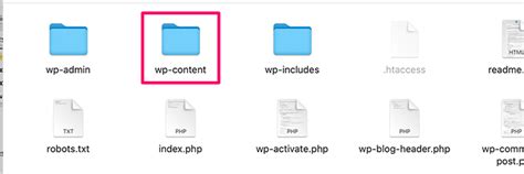 Beginners Guide To Wordpress File And Directory Structure The Web Sea