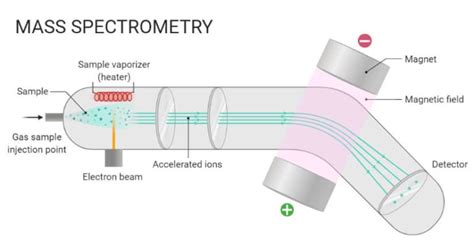 Espectrometría De Masas Em Principio Funcionamiento Partes Pasos Usos