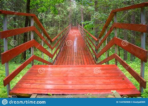 Long Wooden Bridge In The Forest Stock Photo Image Of Scenic