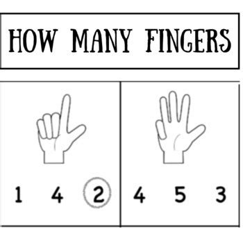How Many Fingers The Basic Concepts Of Numbers And Counting Worksheets
