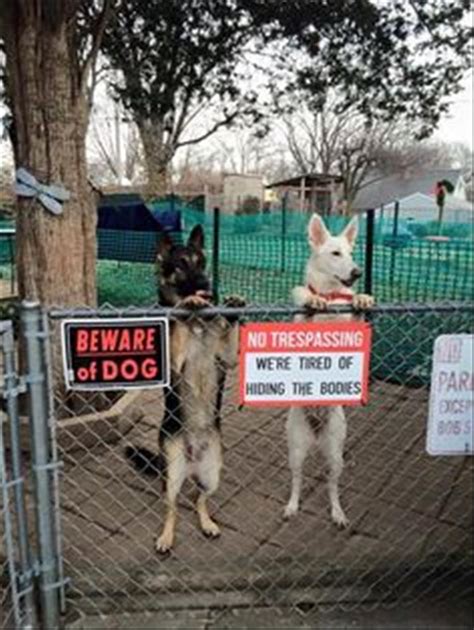 Find vectors of funny dog. Beware Of Dog Signs You Can Probably Just Ignore - 15 Pics