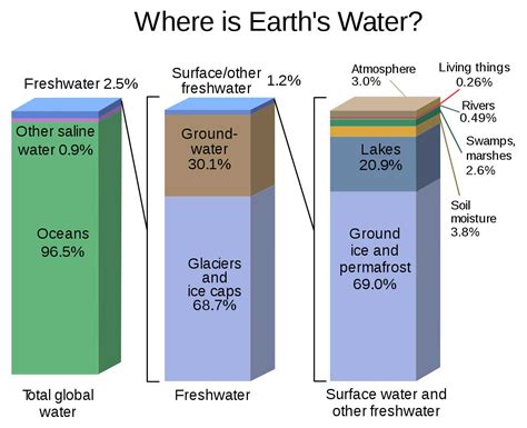 Water Cycle Understanding Global Change