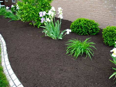 Black Bark Mulch The Ultimate Guide To Using This Versatile Mulch