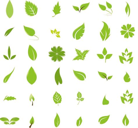 Leaves Free Vector Graphics Leaf Design Leaves Vector