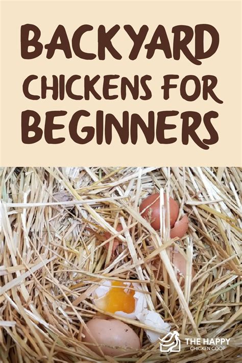 10 Tips For Keeping Backyard Chickens For Beginners