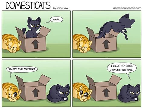 Funny Cat Comics Clean Cat Mania