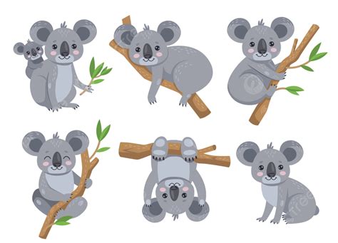 Gambar Koala Lucu Duduk Di Set Ilustrasi Kartun Pohon Eucalyptus