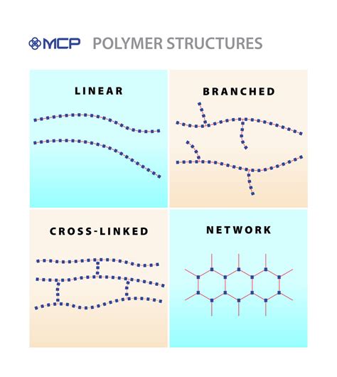 Polymer Architecture Chains And Monomers