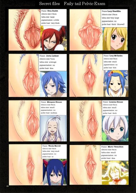 Can A Fairy Tail Erza