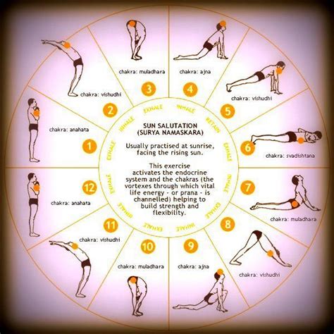 Morning Yoga Sequence Pictures Photos And Images For