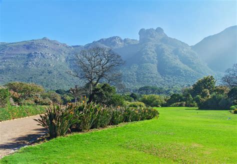 Western Cape Attractions