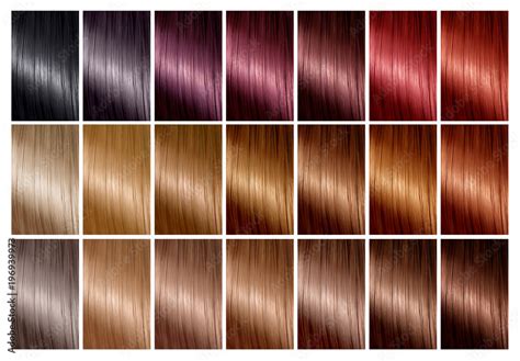 Hair Color Palette With A Range Of Swatches Tints Color Chart For