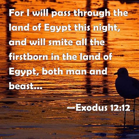 Exodus 1212 For I Will Pass Through The Land Of Egypt This Night And