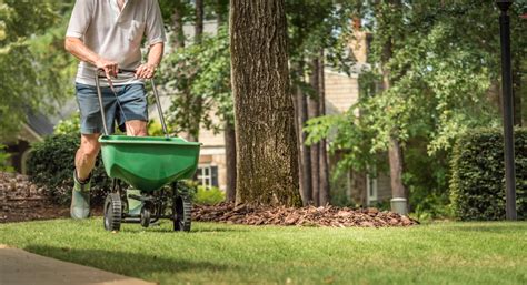 Learn How To Fertilize Your Lawn Tool Digest