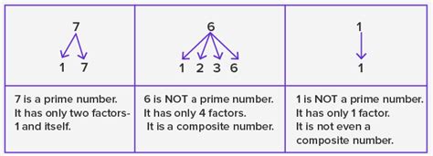 What Are Prime Numbers 1 To 100 Definition Chart Examples
