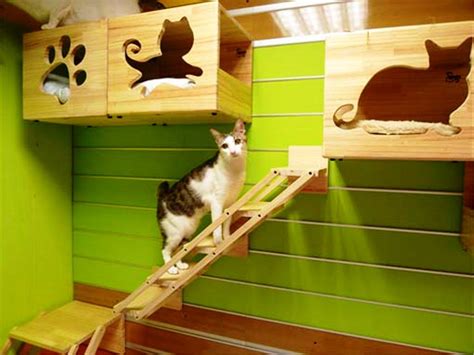 Indoor Cat House Plans In 2020 Cat Houses Indoor Indoor Cat Cat