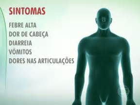 Qual Os Sintomas Da Chikungunya