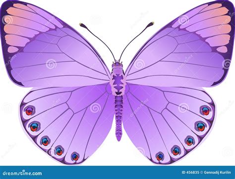 Butterfly Lilac Fantasy Stock Vector Illustration Of Object
