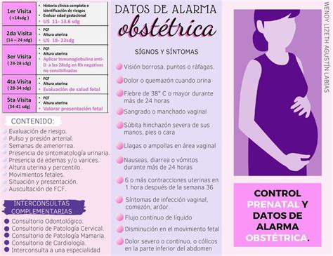TrÍptico De Control Prenatal Y Datos De Alarma Udocz