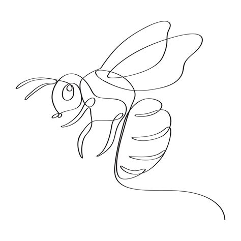 Hand Drawn Honey Bee Continues Line Art Drawing 20609150 Vector Art At