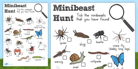 Minibeast Hunt Sheet Australia Minibeast Hunt Sheet Beast